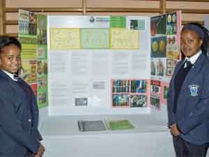 Northern Cape Science Expo Project